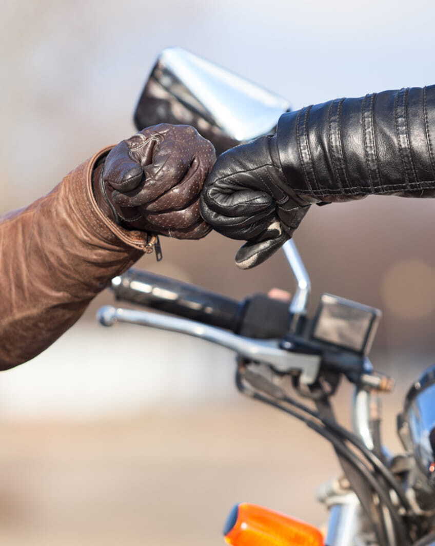 Strong. Premium. Beginner-friendly.